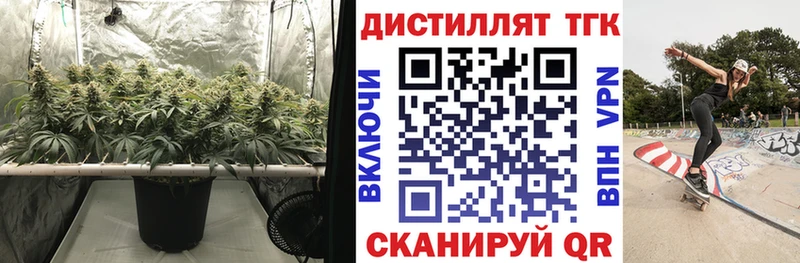 MEGA онион  Гаврилов-Ям  ТГК концентрат  наркота 