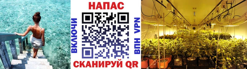 МАРИХУАНА THC 21%  даркнет формула  Гаврилов-Ям  купить  сайты 